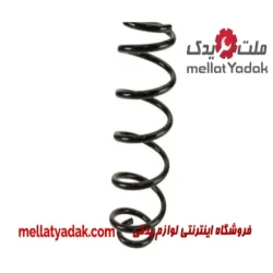 فنر لول سوزوکی کیزاشی