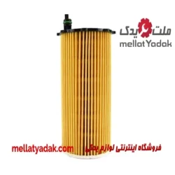 فیلتر روغن کیا کارناوال