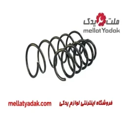 فنر لول جلو ساینا