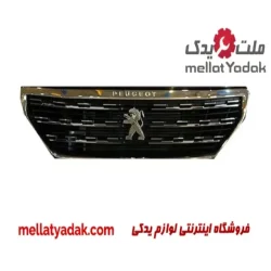 جلوپنجره پژو301
