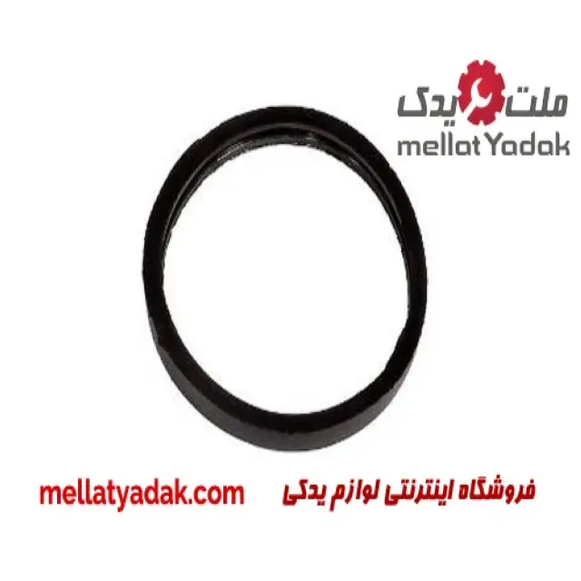 اورینگ ترموستات رنو استپ وی