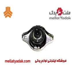 درب رادیاتور آب سایپا آریو