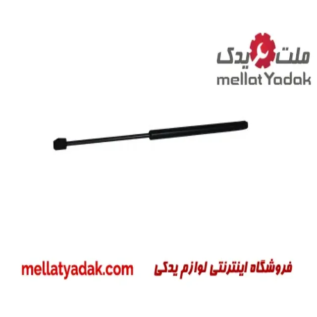 فیلتر بنزین اریون