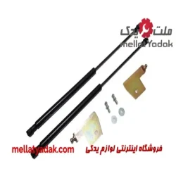 سوپاپ دود و بنزین ساینا