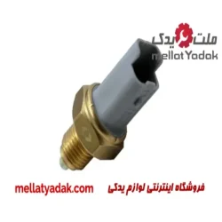 فشنگی دنده عقب سمند