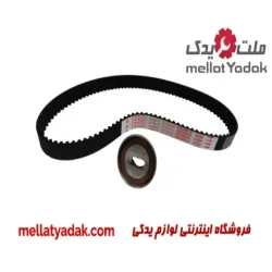 کیت تسمه تایم تیبا