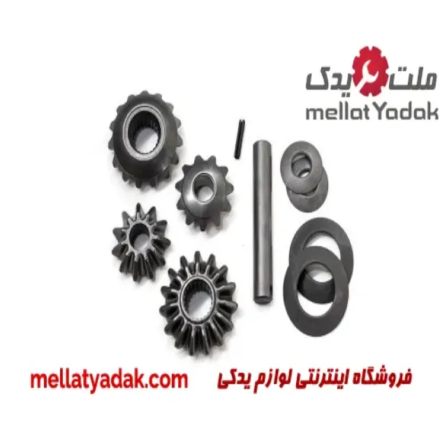 دنده دیشلی تیبا