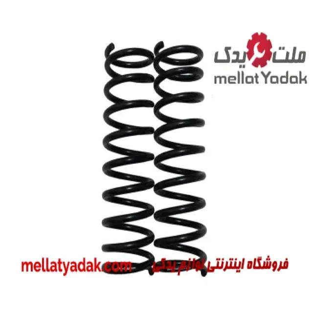 فنر لول عقب ساینا