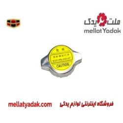 درب رادیاتور جیلی امگرند7