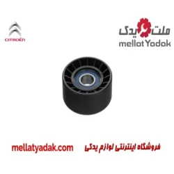 هرزگرد دینام زانتیا