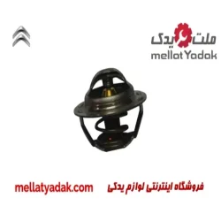 ترموستات زانتیا