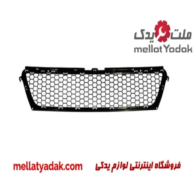توری داخل سپر رنو تندر