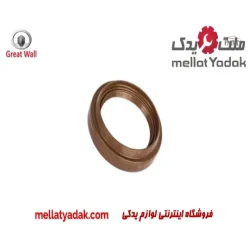 کاسه نمد پلوس گریت وال ولکس C30