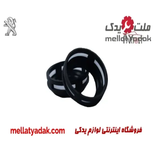 صافی سوزن تپل انژکتور پژو 405 1 صافی سوزن تپل انژکتور پژو