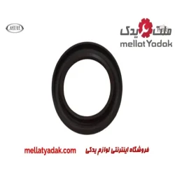 کاسه نمد پلوس ام وی ام 315
