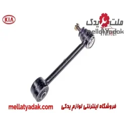 طبق عقب راست کیا اپتیما