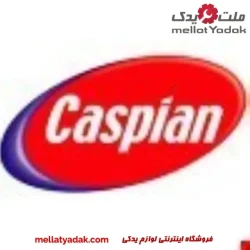 ضدیخ ۴کیلویی کاسپین