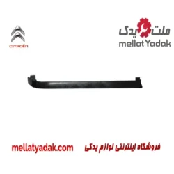 زه زیر چراغ راست زانتیا