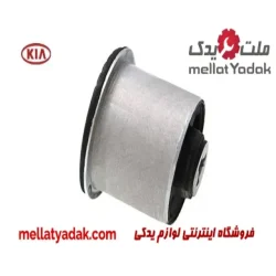 بوش طبق جلو کیا سراتو