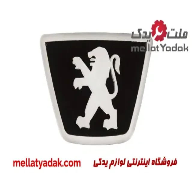 آرم جلو پنجره چراغ دار