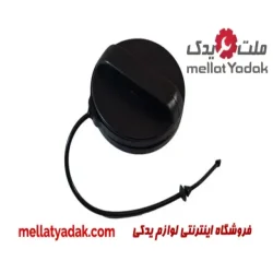 درب باک پژو405