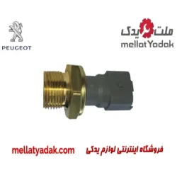 فشنگی روغن پژو 206