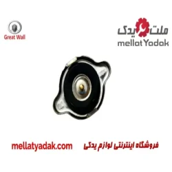 درب رادیاتور گریت وال ولکس C30