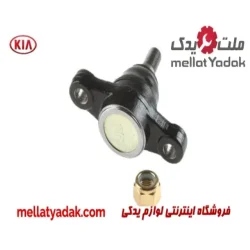 سیبک طبق پایین کیا اپیروس