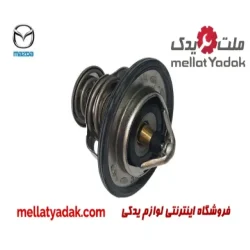 ترموستات مزدا 2