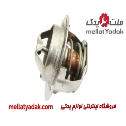 ترموستات پژو RD