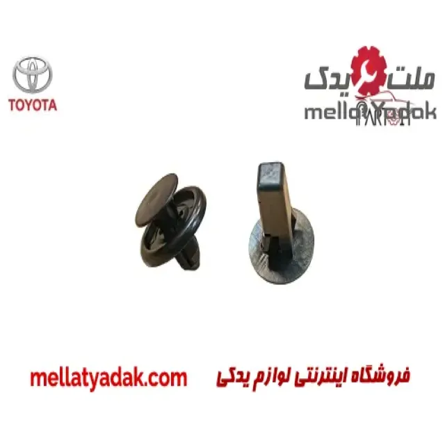 خار شلگیر تویوتا اریون