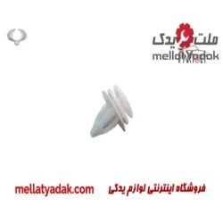 خار سپر بزرگ سانگ یانگ تیوولی