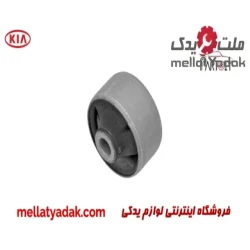 بوش طبق گرد کیا سراتو