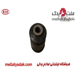 بوش طبق لبه دار کیا سراتو