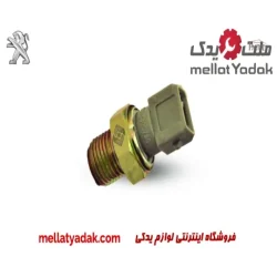 فشنگی روغن پژو پارس