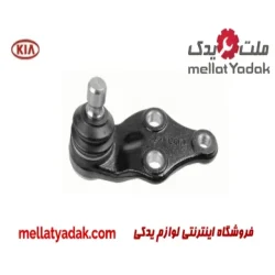 سیبک طبق کیا اپتیما