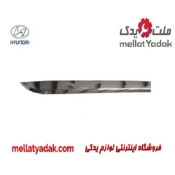 زه درب عقب راست هیوندای آزرا گرنجور