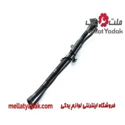 خرطومی باک تیبا