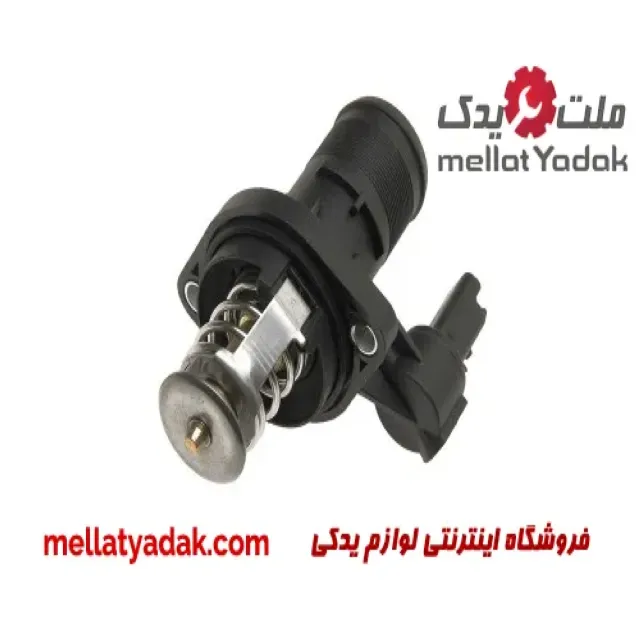 ترموستات پژو407