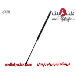 فیلتر بنزین رانا