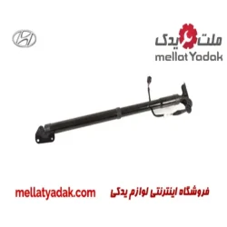 پمپ بنزین آریو Z300