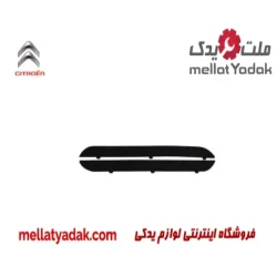 زه جلو پنجره زانتیا