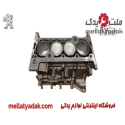نیم موتور پژو 405