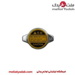 در رادیاتور آب راین V5